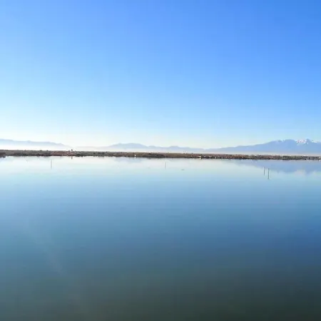 Appartement Les Pieds Dans L'eau 2 - Piscine Chauffee *